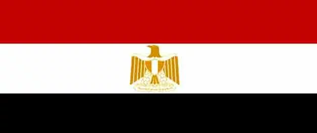 मिस्र: सेना प्रमुख अल-सीसी लड़ेंगे राष्ट्रपति चुनाव